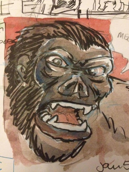 gorilla-grady